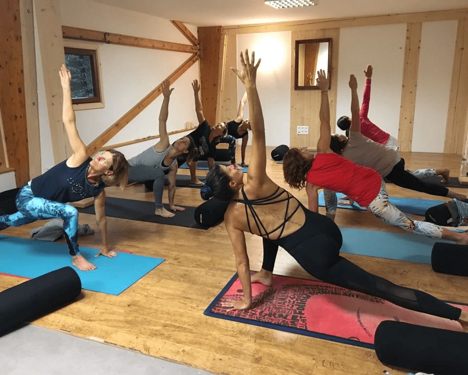 Formation professeur de Yoga Vinyasa Formation professeur de Yoga Vinyasa