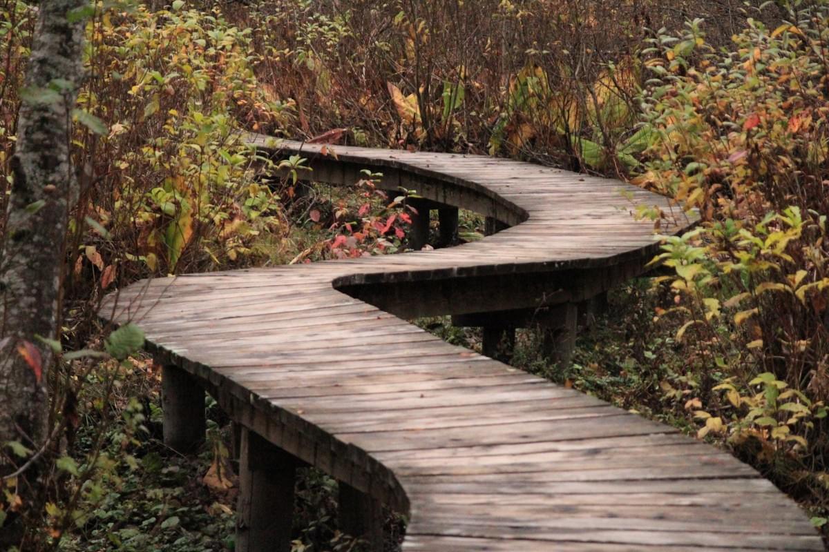 Trouver son chemin dans le domaine concurrentiel du Yoga Trouver son chemin dans le domaine concurrentiel du Yoga