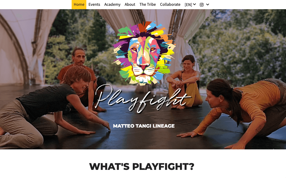 playfightorg-typografia playfightorg-typografia