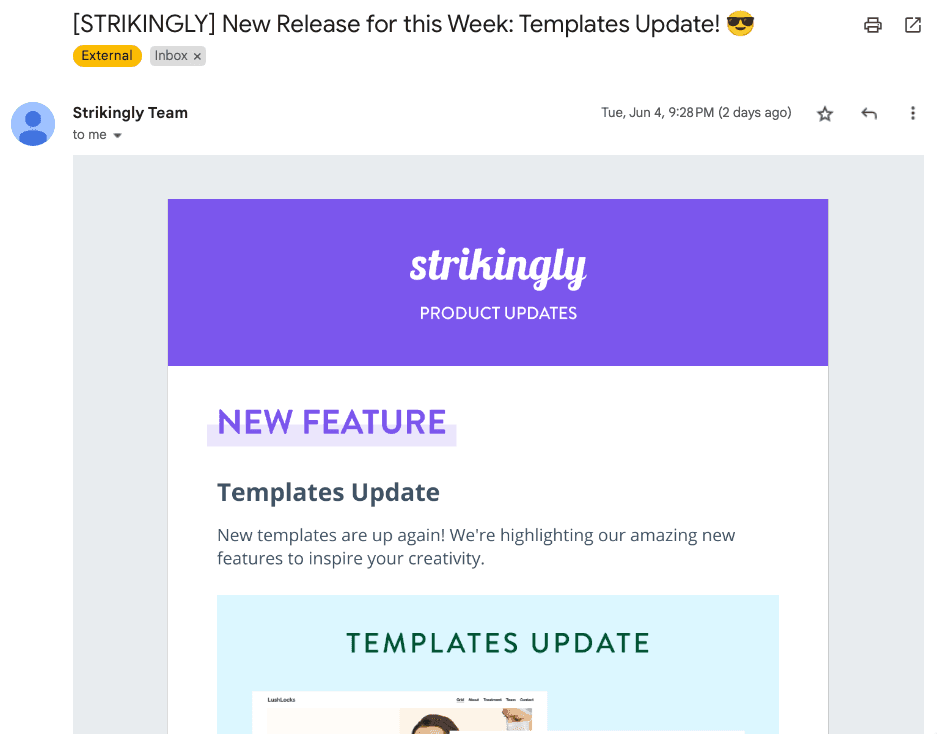Biuletyn Strikingly Biuletyn Strikingly