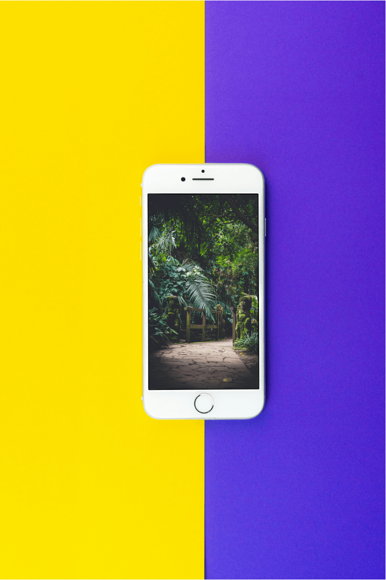 hur man tar bilder med iPhone hur man tar bilder med iPhone