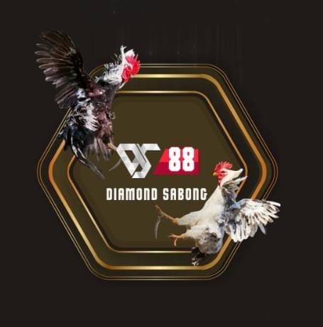 sabong live channel mainly provides sabong live video, high-definition sabong live, sabong live video playback, sabong live signal real-time update, provides you with sabong live video pictures for free, and strives to be the best sabong high-definition live network. sabong live channel mainly provides sabong live video, high-definition sabong live, sabong live video playback, sabong live signal real-time update, provides you with sabong live video pictures for free, and strives to be the best sabong high-definition live network.