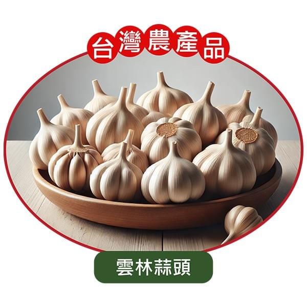 JTS-台灣雲林蒜頭 JTS-台灣雲林蒜頭