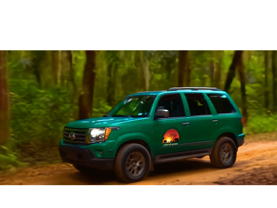 Immerse yourself in the vibrant cultures of Uganda with our specially designed cultural tours. Engage with local communities, participate in traditional ceremonies, and savor authentic Ugandan cuisine. Our tours give you a deeper understanding and appreciation of Uganda's rich cultural heritage. Cultural Experiences Our Services Create a visually stunning and user-friendly website for Specialist Tours Uganda, a leading tourist travel tour company in Uganda. The website should effectively showcase the company's services, destinations, and expertise, while also providing an easy-to-use platform for customers to plan and book their trips.
*Company Overview*
Specialist Tours Uganda is a reputable and experienced tour operator that offers customized and guided tours to various destinations in Uganda, including national parks, wildlife reserves, and cultural sites. The company's mission is to provide exceptional and personalized travel experiences that showcase the beauty, diversity, and richness of Uganda's culture and natural heritage.
*Target Audience*
The target audience for the website includes:
1. International tourists and travelers interested in visiting Uganda
2. Local tourists and Ugandan citizens looking for domestic travel options
3. Travel agents and tour operators seeking partnerships and collaborations
4. Adventure see Immerse yourself in the vibrant cultures of Uganda with our specially designed cultural tours. Engage with local communities, participate in traditional ceremonies, and savor authentic Ugandan cuisine. Our tours give you a deeper understanding and appreciation of Uganda's rich cultural heritage. Cultural Experiences Our Services Create a visually stunning and user-friendly website for Specialist Tours Uganda, a leading tourist travel tour company in Uganda. The website should effectively showcase the company's services, destinations, and expertise, while also providing an easy-to-use platform for customers to plan and book their trips.
*Company Overview*
Specialist Tours Uganda is a reputable and experienced tour operator that offers customized and guided tours to various destinations in Uganda, including national parks, wildlife reserves, and cultural sites. The company's mission is to provide exceptional and personalized travel experiences that showcase the beauty, diversity, and richness of Uganda's culture and natural heritage.
*Target Audience*
The target audience for the website includes:
1. International tourists and travelers interested in visiting Uganda
2. Local tourists and Ugandan citizens looking for domestic travel options
3. Travel agents and tour operators seeking partnerships and collaborations
4. Adventure see