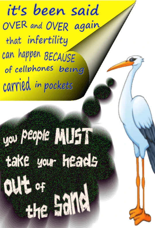 cellphones causing infertility cellphones causing infertility