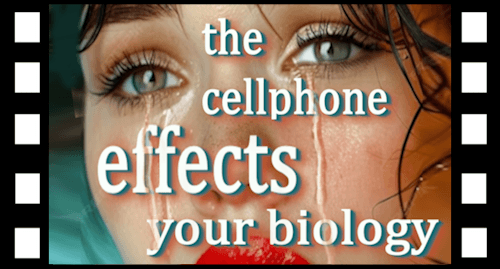 The cellphone effects your biology The cellphone effects your biology