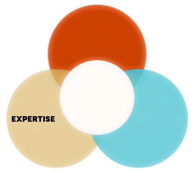 Google E-E-A-T - Expertise Google E-E-A-T - Expertise