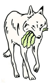Section image