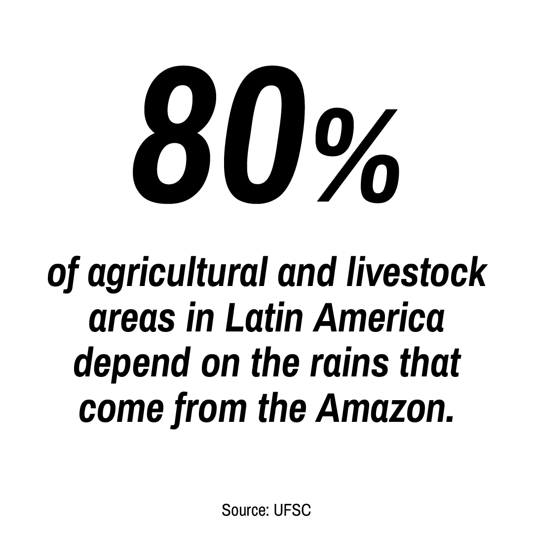 80% das áreas agrícolas e de pecuária na América Latina dependem das chuvas que vêm da Amazônia Fonte: UFSC 80% das áreas agrícolas e de pecuária na América Latina dependem das chuvas que vêm da Amazônia Fonte: UFSC