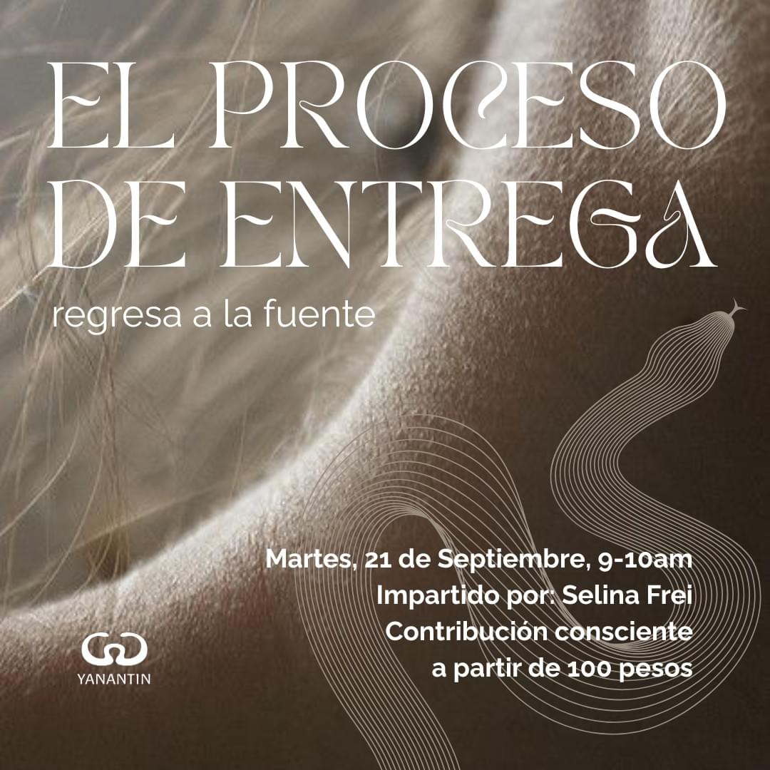 Our team develops cutting-edge solutions aimed at restoring the environment and enhancing well-being. Innovative Solutions What We Offer Equipo evolutionarioquienes somos?HistoriaProyectosOfertasCultura regenerativa Our team develops cutting-edge solutions aimed at restoring the environment and enhancing well-being. Innovative Solutions What We Offer Equipo evolutionarioquienes somos?HistoriaProyectosOfertasCultura regenerativa