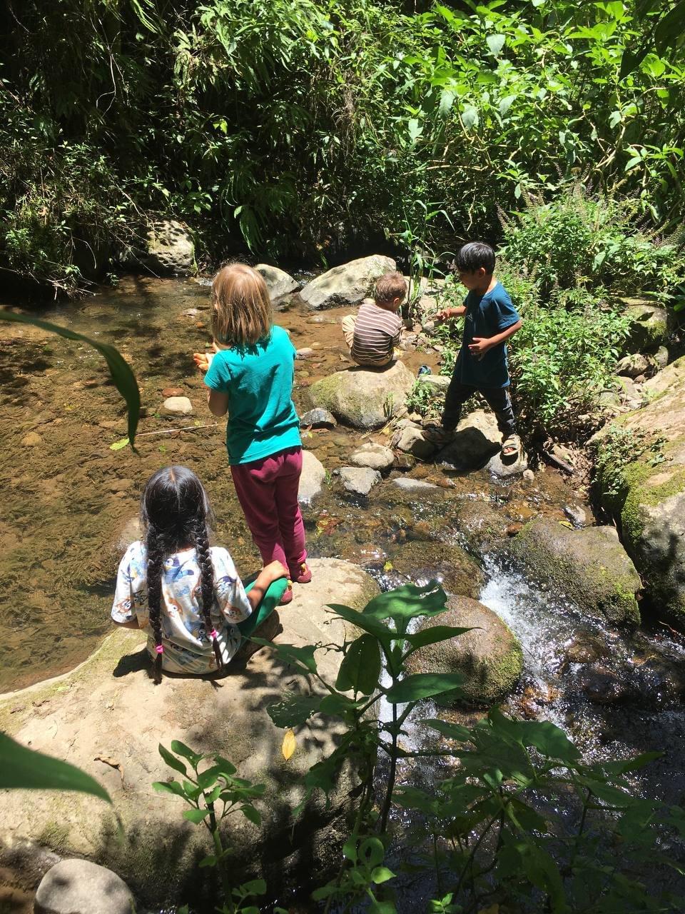 Our commitment to a regenerative culture is evident in everything we do. We emphasize education, collaboration, and innovation, fostering a community that embraces sustainable practices and holistic living. Join us in cultivating a culture that values regeneration and interconnectedness. Regenerative Culture What We Do Equipo evolutionarioquienes somos?HistoriaProyectosOfertasCultura regenerativa Our commitment to a regenerative culture is evident in everything we do. We emphasize education, collaboration, and innovation, fostering a community that embraces sustainable practices and holistic living. Join us in cultivating a culture that values regeneration and interconnectedness. Regenerative Culture What We Do Equipo evolutionarioquienes somos?HistoriaProyectosOfertasCultura regenerativa
