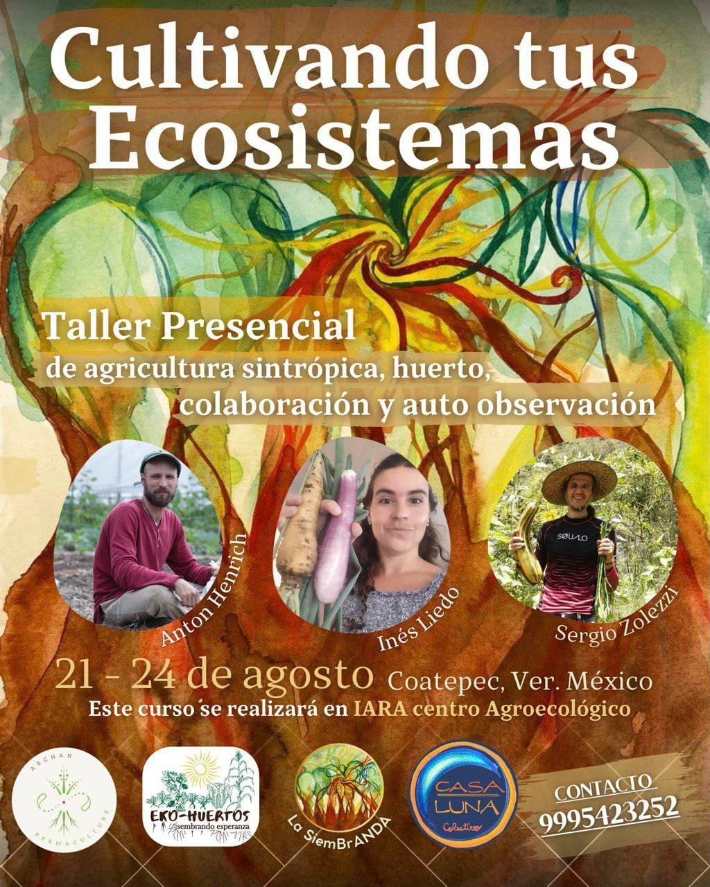 Our team develops cutting-edge solutions aimed at restoring the environment and enhancing well-being. Innovative Solutions What We Offer Equipo evolutionarioquienes somos?HistoriaProyectosOfertasCultura regenerativa Our team develops cutting-edge solutions aimed at restoring the environment and enhancing well-being. Innovative Solutions What We Offer Equipo evolutionarioquienes somos?HistoriaProyectosOfertasCultura regenerativa