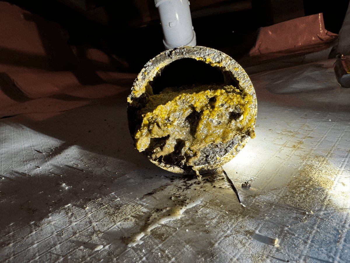 Clogged PVC sewer drain line opened up to see the clogged pipe. Clogged PVC sewer drain line opened up to see the clogged pipe.