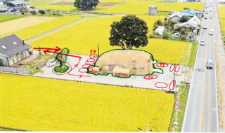 Section image