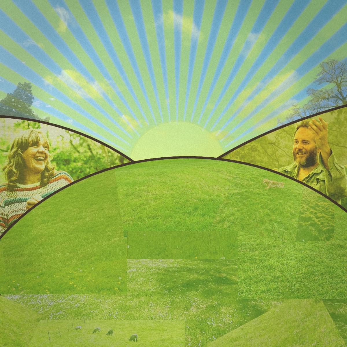 Section image