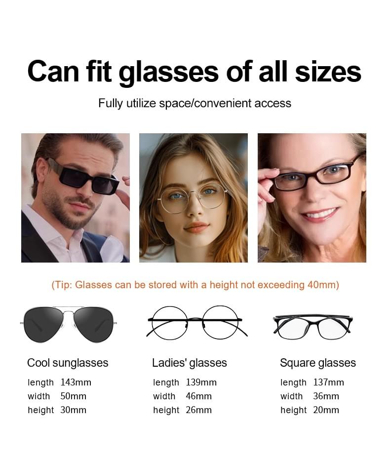 Premium Automotive Sun Visor Glasses Case