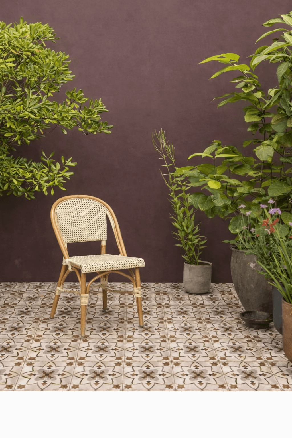 The French Reverie Series