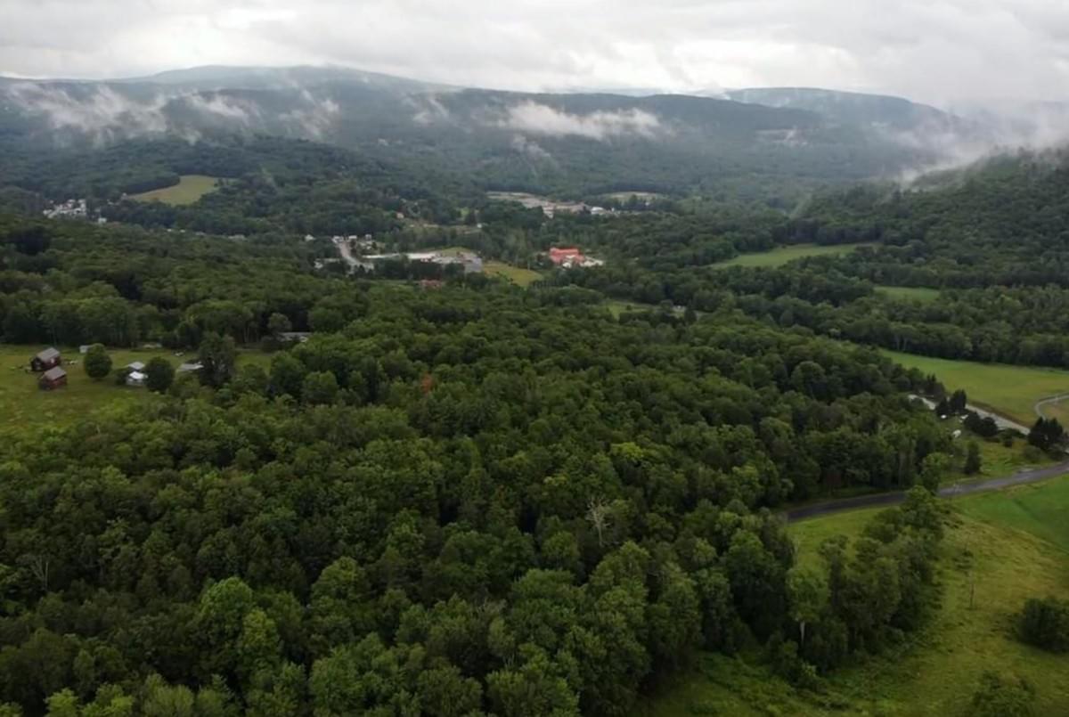 Section image
