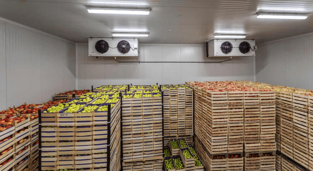 Cold Storage Facilities Cold Storage Facilities