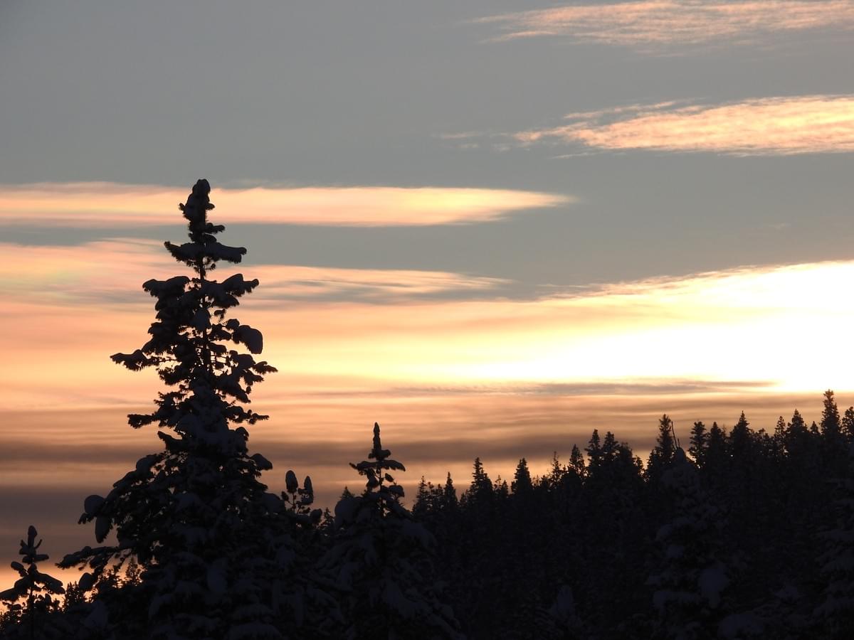 A Postscript to the Meanings of Woods (Touch Wood Rings) A Postscript to the Meanings of Woods (Touch Wood Rings)