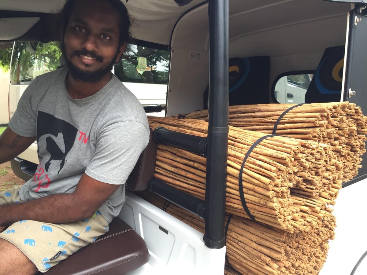 srilankareisen-lk-cinnamon-sri-lanka-holiday srilankareisen-lk-cinnamon-sri-lanka-holiday