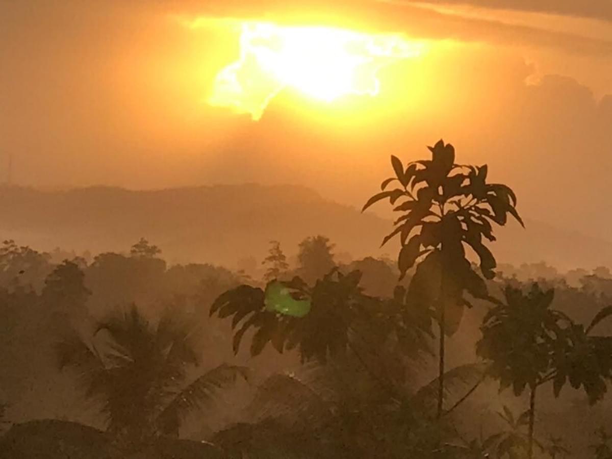 srilankareisen-lk-tea-factory-hermans-tea-srilanka srilankareisen-lk-tea-factory-hermans-tea-srilanka