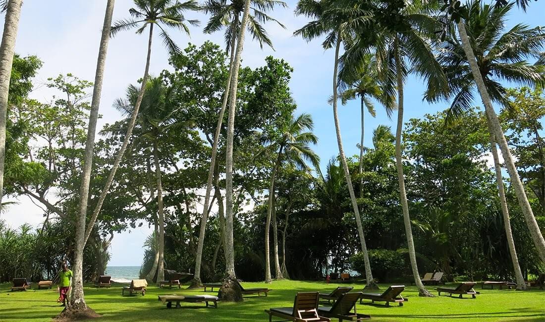 srilankareisen.lk ananda ayurveda resort srilankareisen.lk ananda ayurveda resort