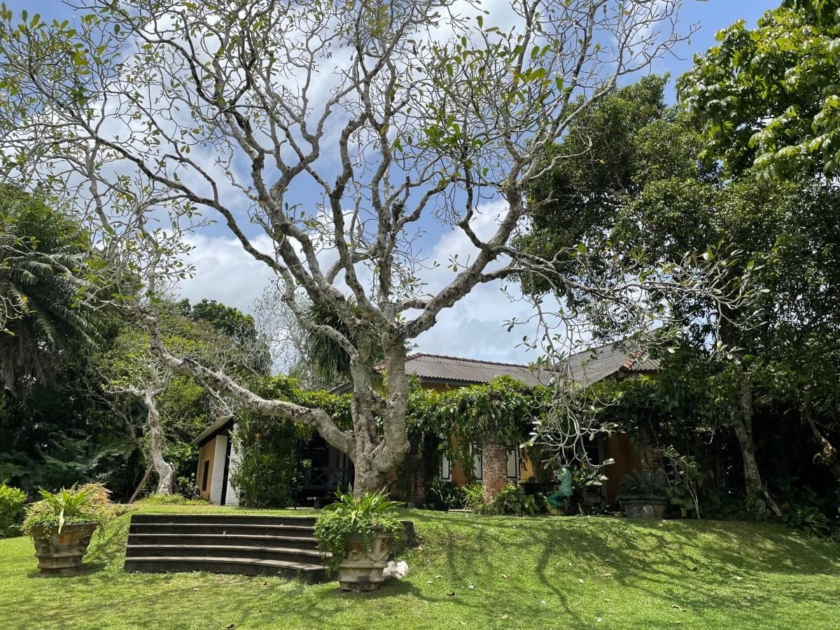 srilankareisen-lk-Bevis-Bawa-Garden-SriLanka-Excursion srilankareisen-lk-Bevis-Bawa-Garden-SriLanka-Excursion