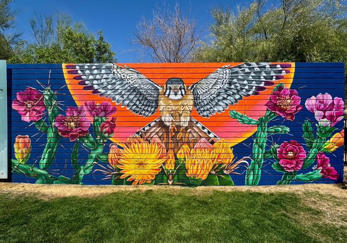 Colorful mural by Ariana Enriquez featuring an American kestrel with outstretched wings surrounded by blooming cactus flowers and Sonoran Desert plants in Arizona. Colorful mural by Ariana Enriquez featuring an American kestrel with outstretched wings surrounded by blooming cactus flowers and Sonoran Desert plants in Arizona.