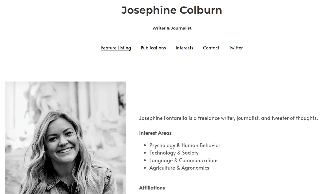 Showcase effective portfolio website design with engaging project summaries.