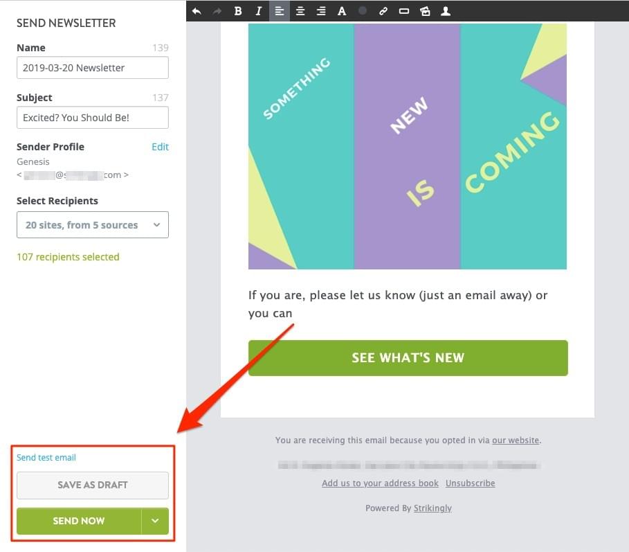 Strikingly newsletter editor with test, draft, and send controls for campaign review Strikingly newsletter editor with test, draft, and send controls for campaign review