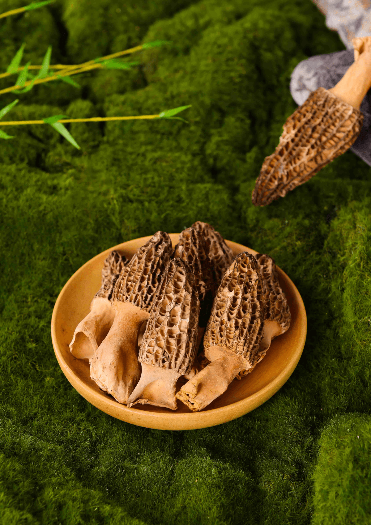 freeze dried vegetable suppliers showcasing vibrant freeze dried fruit options freeze dried vegetable suppliers showcasing vibrant freeze dried fruit options