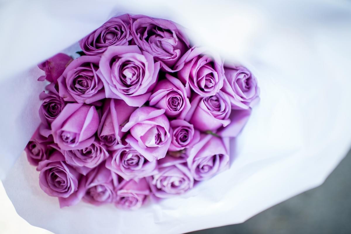 Stunning purple roses bouquet perfect for any occasion. Stunning purple roses bouquet perfect for any occasion.