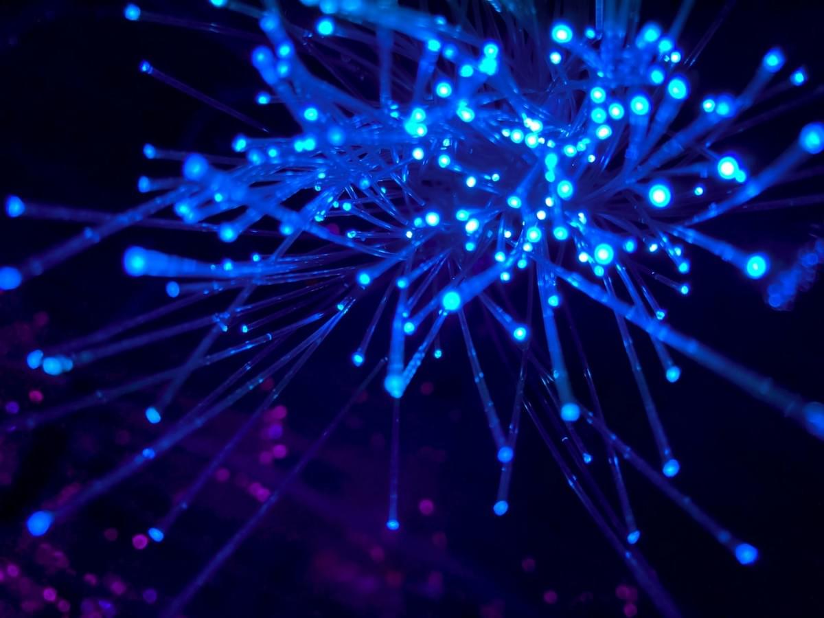 Fiber optic strands representing fast renewal visibility across enterprise networks Fiber optic strands representing fast renewal visibility across enterprise networks
