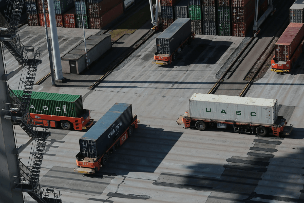 Pre Customs Clearance Inspection at busy port Pre Customs Clearance Inspection at busy port