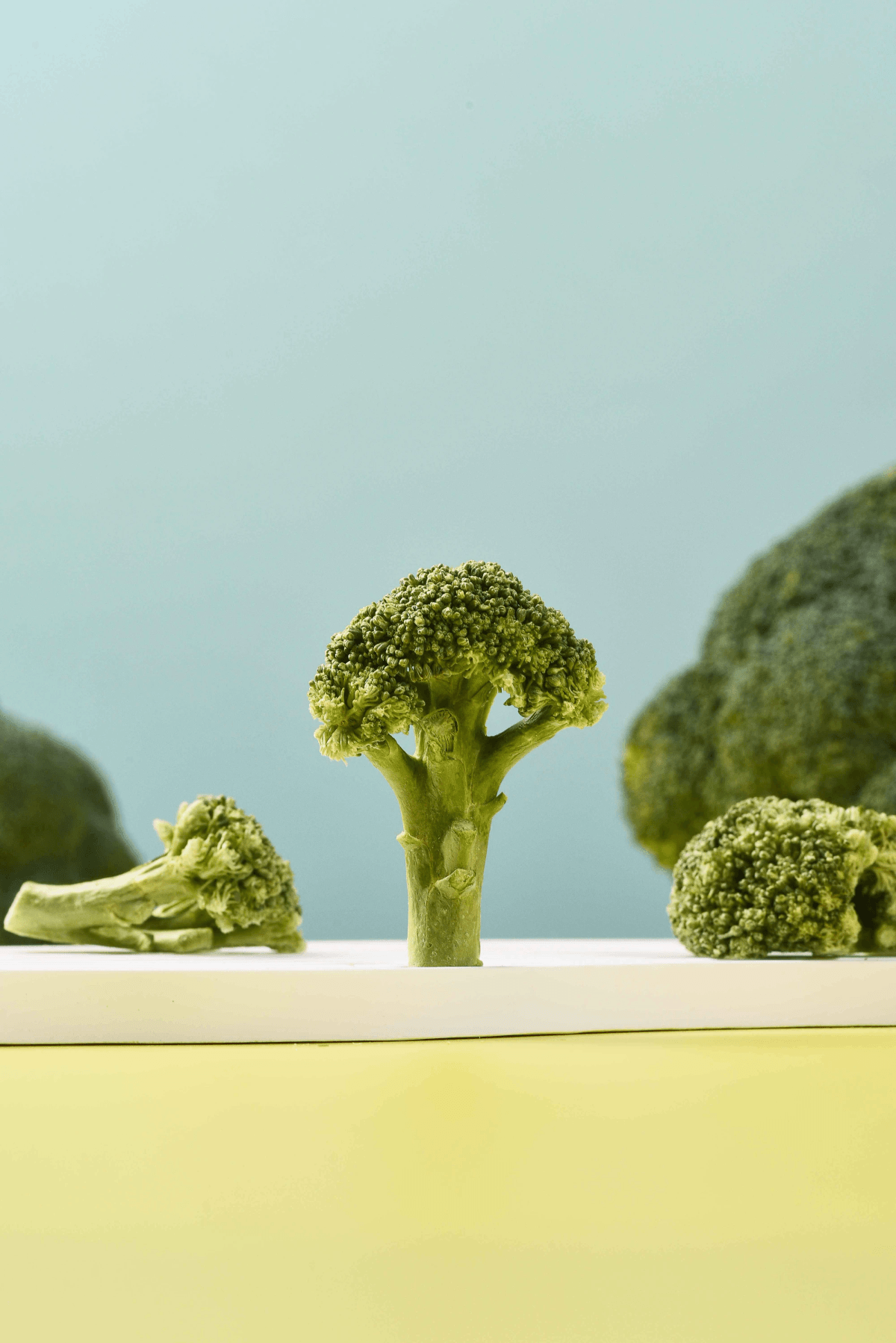 Freeze dried broccoli powder used in healthy recipes Freeze dried broccoli powder used in healthy recipes