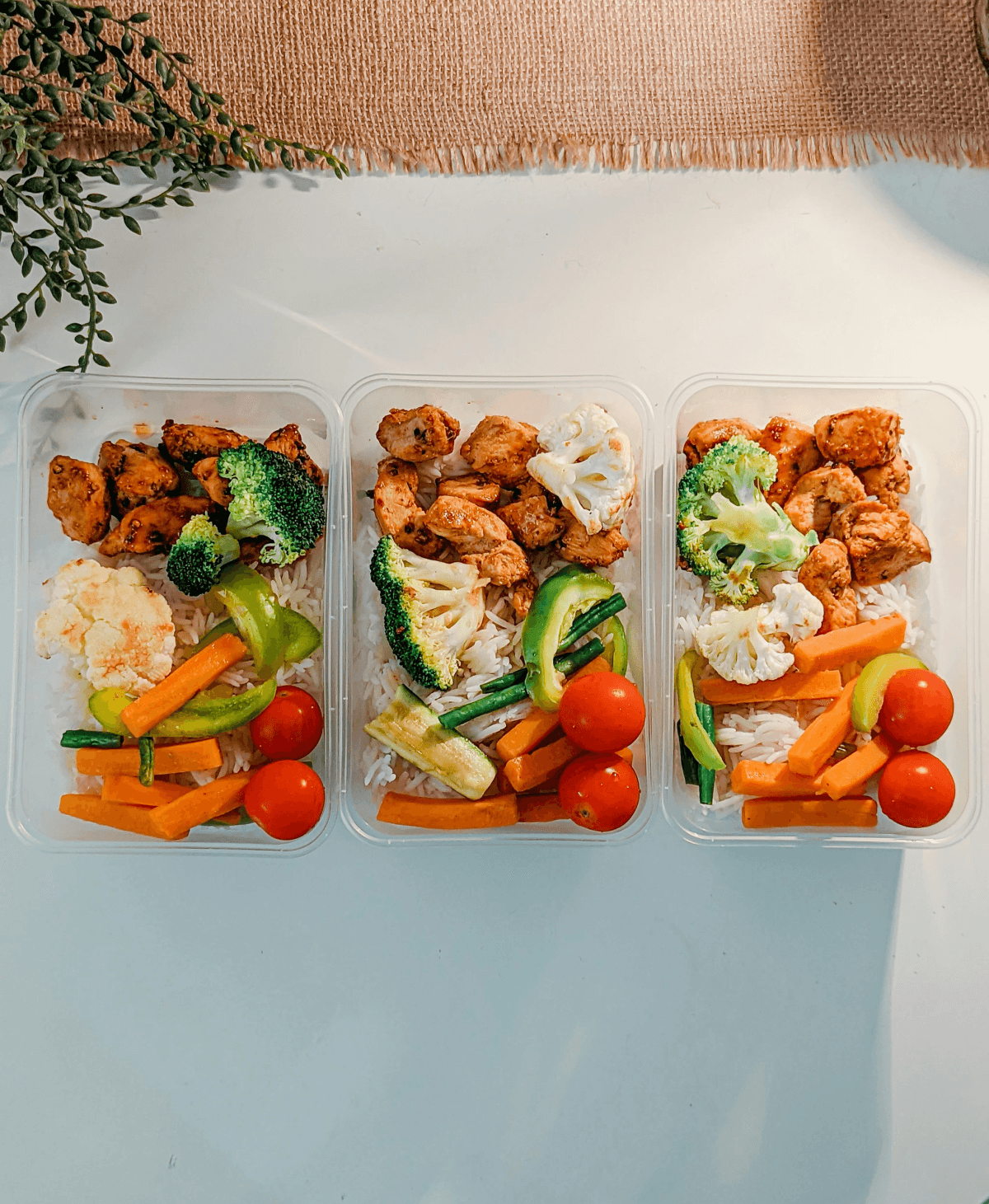 Assorted take home food containers showcasing versatility Assorted take home food containers showcasing versatility