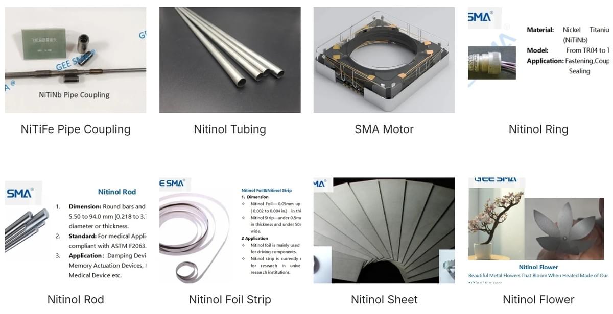 nitinol stents market overview including various shapes nitinol stents market overview including various shapes