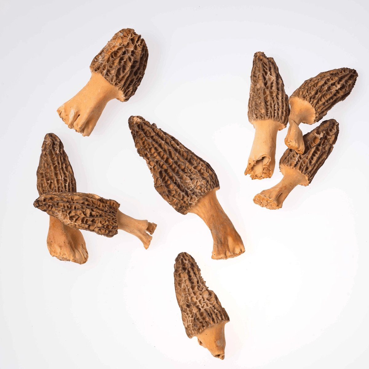 freeze dried vegetable suppliers provide vibrant options for healthy snacks. freeze dried vegetable suppliers provide vibrant options for healthy snacks.