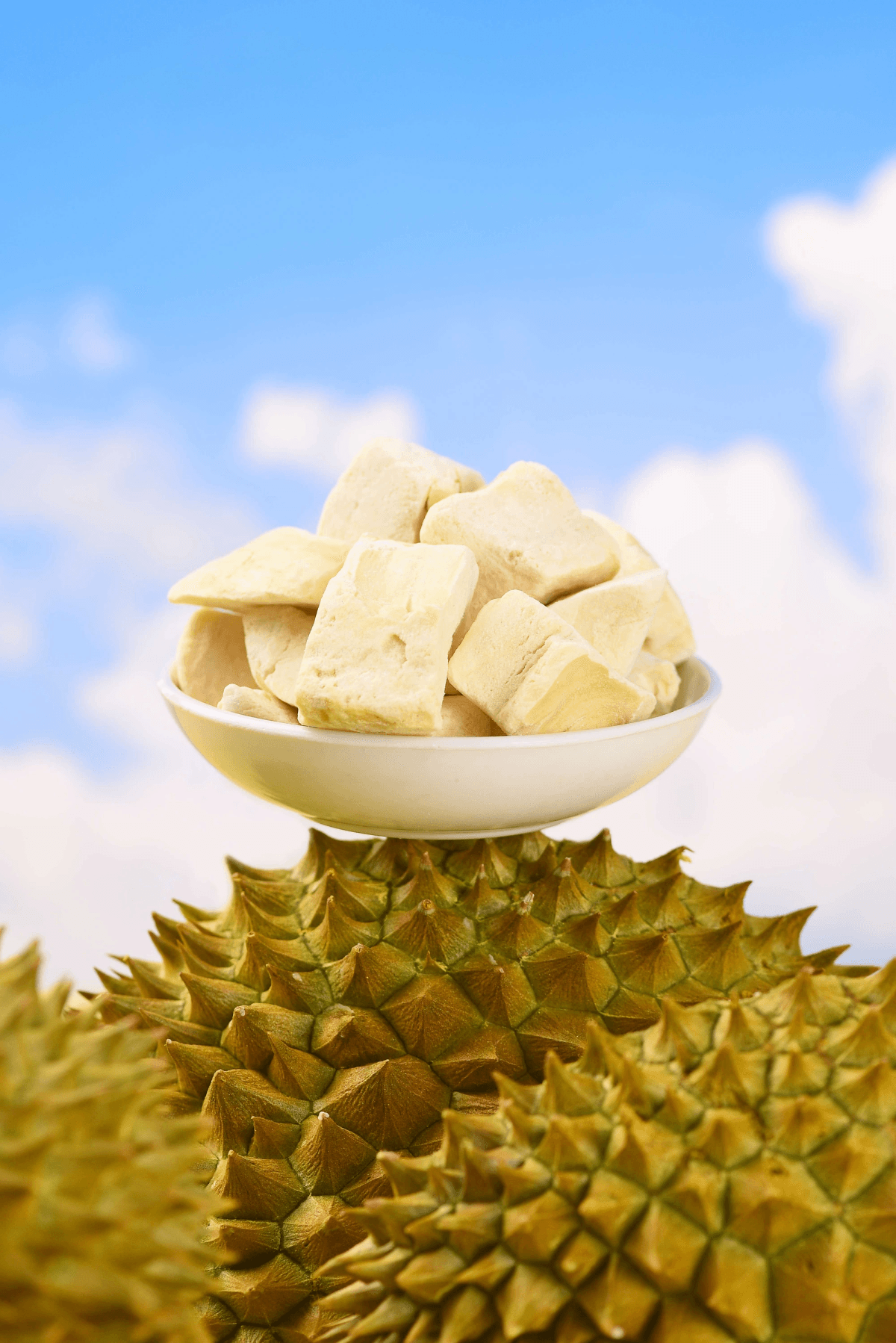 Delicious dishes made with freeze dried durian showcasing its versatility. Delicious dishes made with freeze dried durian showcasing its versatility.
