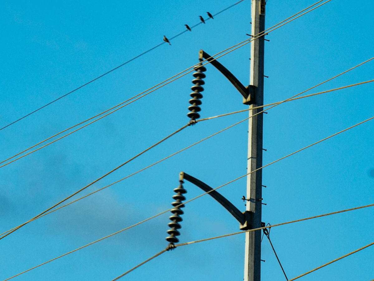 Diagram showing importance of guard ring in transmission line Diagram showing importance of guard ring in transmission line