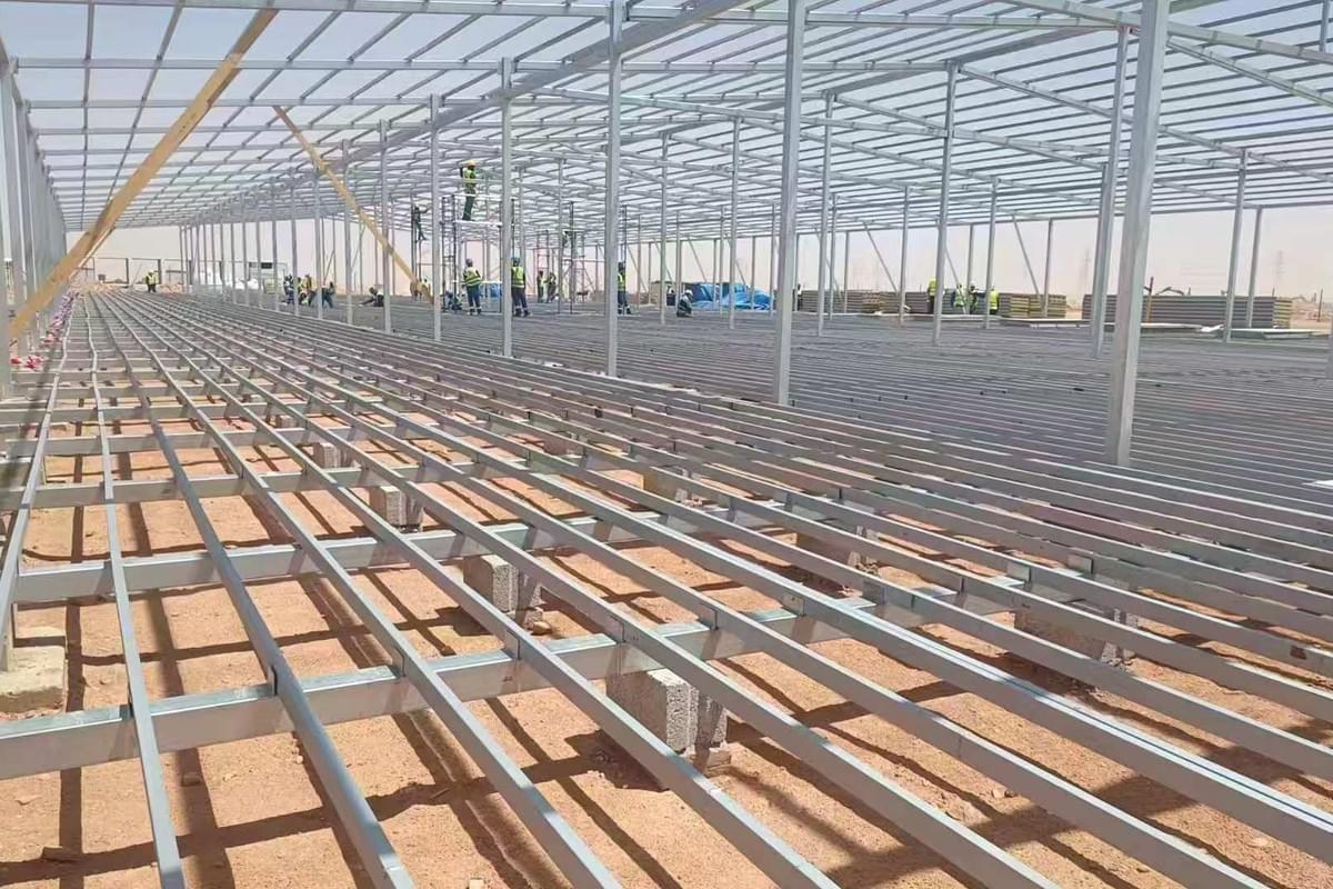 تصميم مبتكر لمقهى حاوية شحن للبيع تصميم مبتكر لمقهى حاوية شحن للبيع