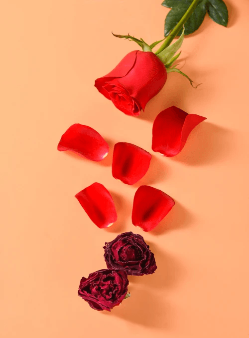freshly sourced freeze dried petals bulk for creative uses freshly sourced freeze dried petals bulk for creative uses