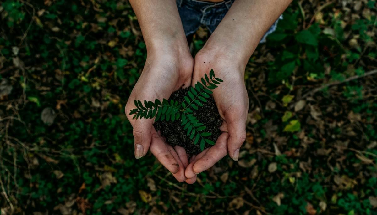 Innovative water based lamination used in sustainable packaging solutions. Innovative water based lamination used in sustainable packaging solutions.