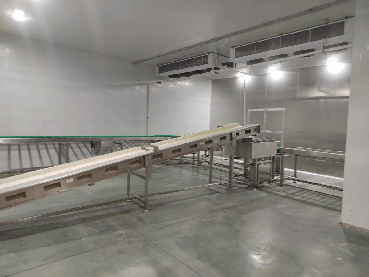 freshly made freeze dried jackfruit ready for snacking freshly made freeze dried jackfruit ready for snacking