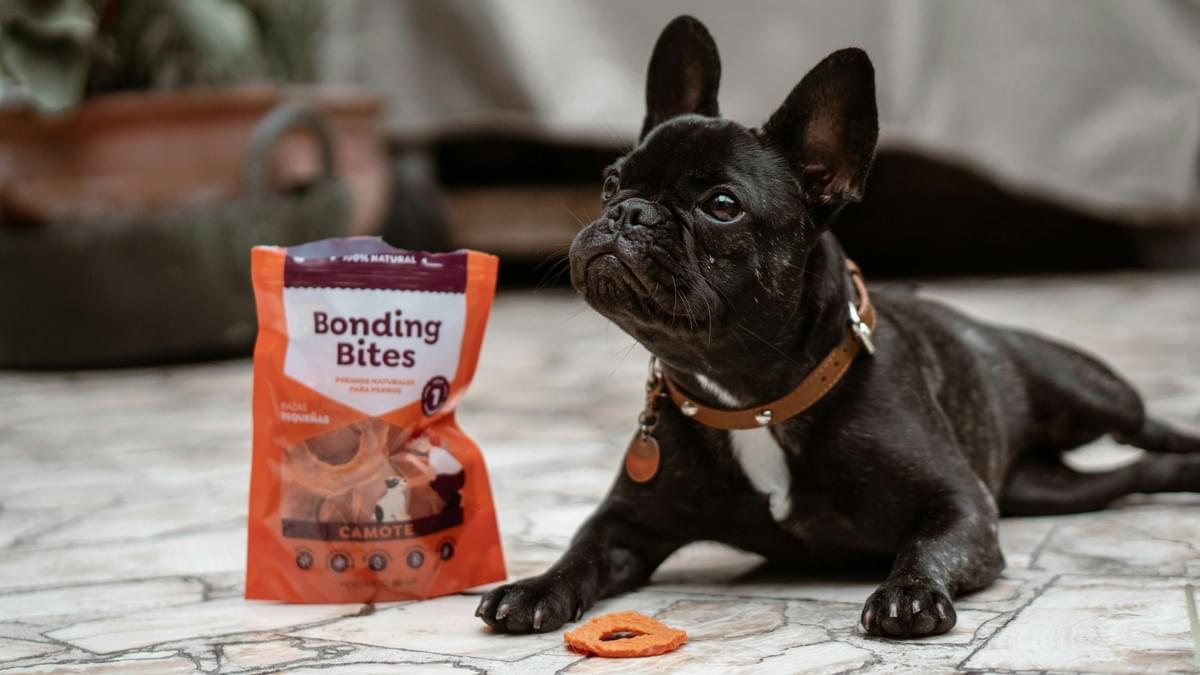 Pet Products Quality Control testing process showing durability and safety measures. Pet Products Quality Control testing process showing durability and safety measures.