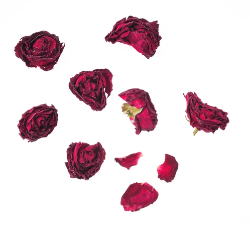 Explore creative uses with freeze dried petals bulk for home decor. Explore creative uses with freeze dried petals bulk for home decor.