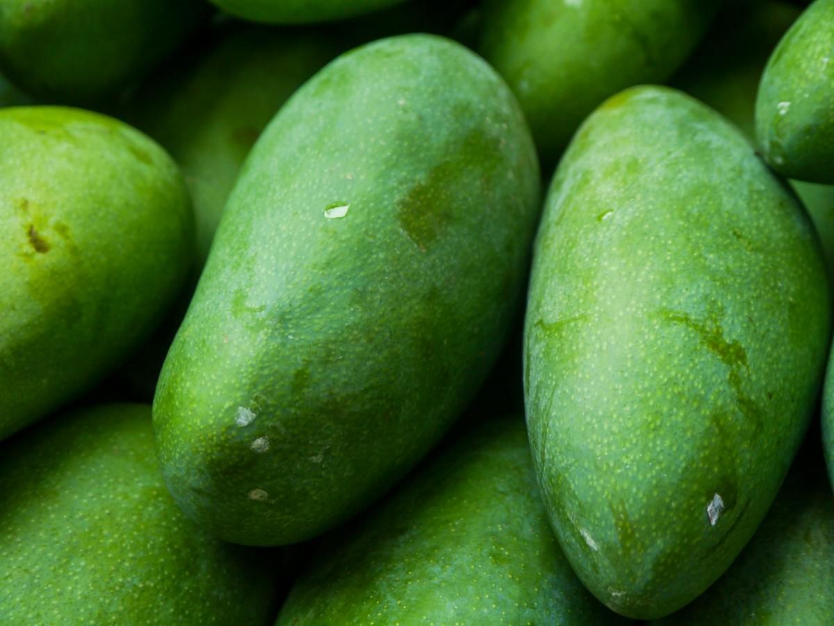 Exporting Mango Quality Risks Cold Chain Verification Exporting Mango Quality Risks Cold Chain Verification