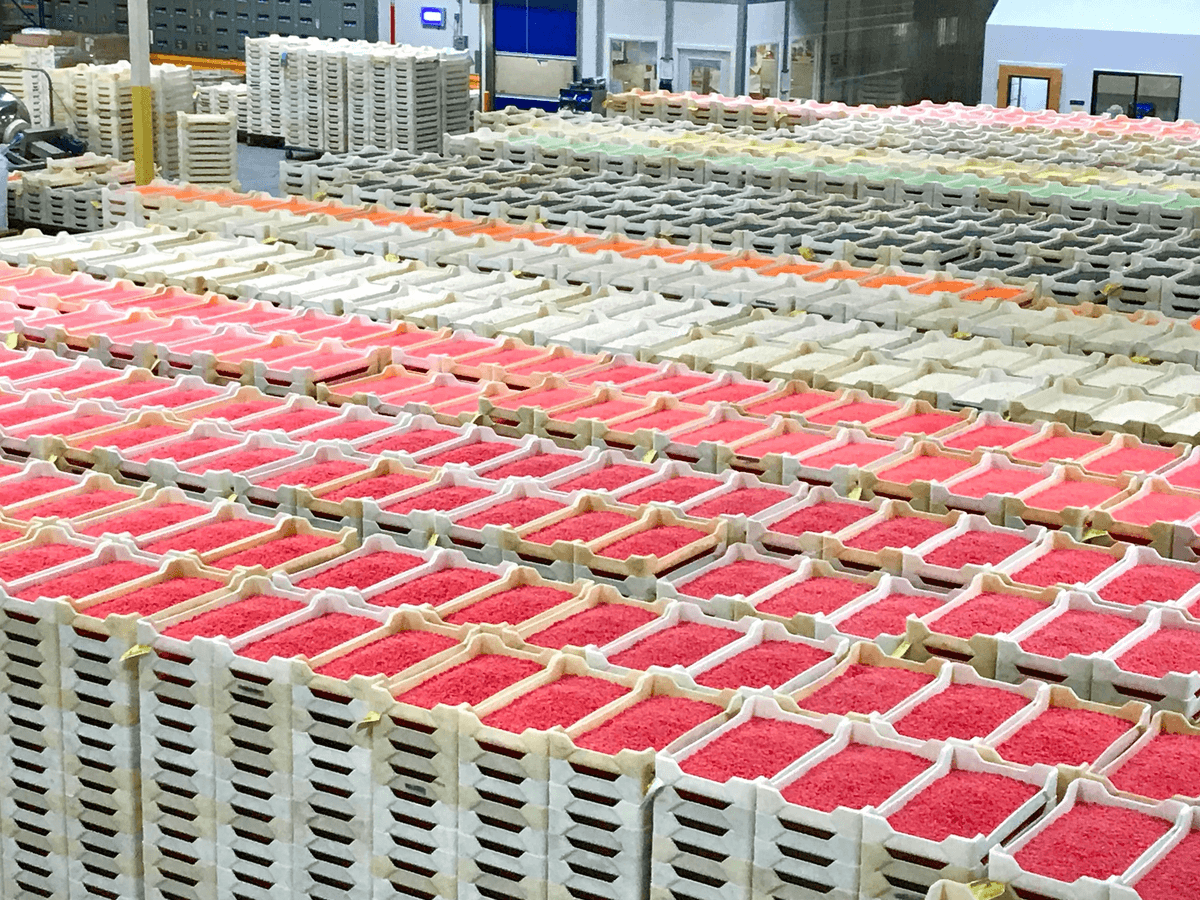 What Are the Different Types of Inspection in Quality Control? What Are the Different Types of Inspection in Quality Control?