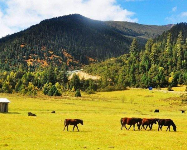tibet altitude view showcasing breathtaking Tibetan scenery tibet altitude view showcasing breathtaking Tibetan scenery